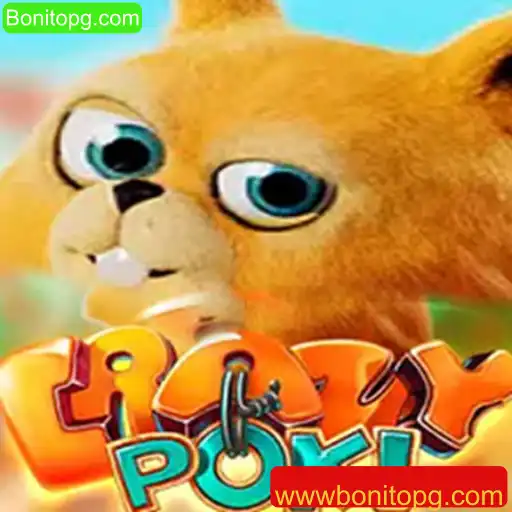 Descubra o Mundo Fascinante de CrazyPoki